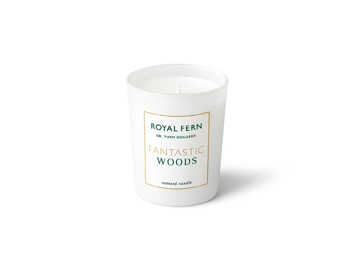 Royal Fern Fantastic Woods Scented Candle