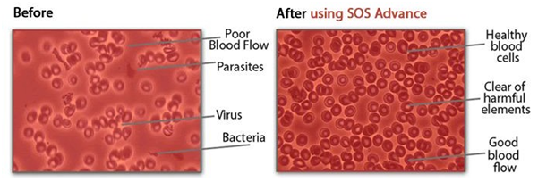 SOS ESSENTIALS SOS Advance Capsules