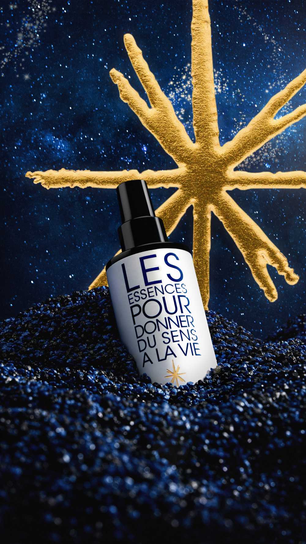 Herve Herau Les Essences Pour Donner Du Sens A La Vie